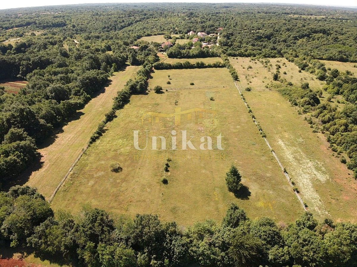 Autentica proprietà con casa in pietra e ampio terreno